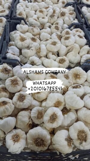 363391914_10227484557093112_45417247451496256_n