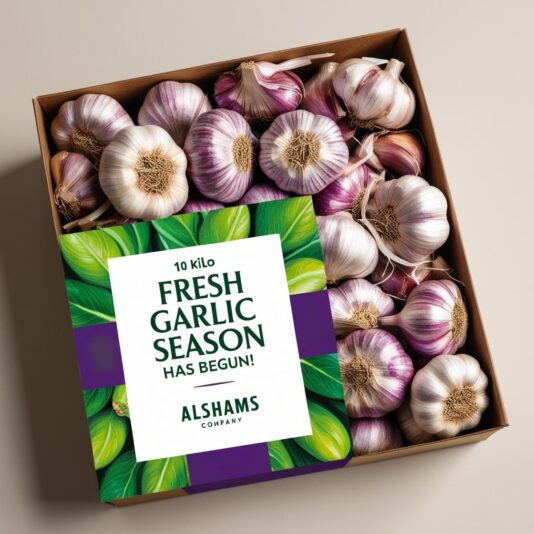 WhatsApp Image 2025-02-11 at 14.43.21_8c9747cf