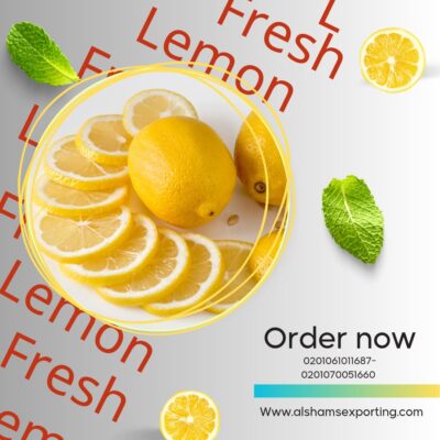 WhatsApp Image 2024-02-18 at 14.51.53_0f999137