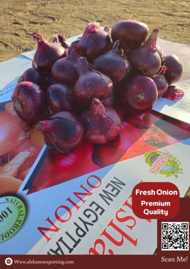 IMG-20250828-WA0012 - Copy