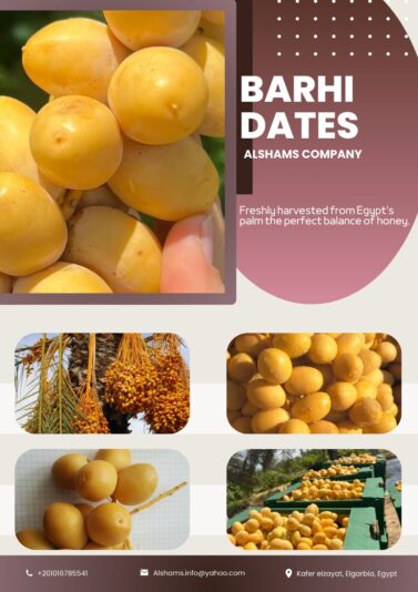 WhatsApp Image 2025-09-17 at 14.02.46_abb4375b