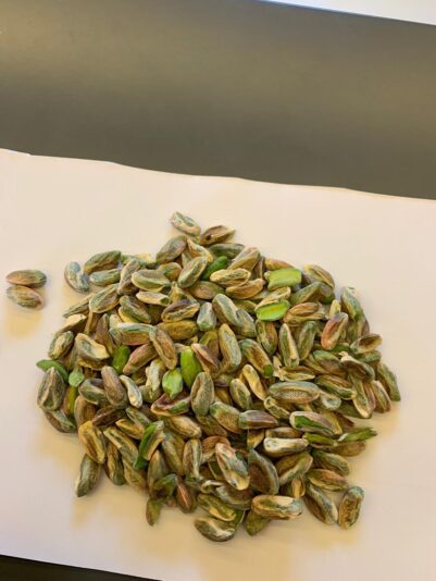 b18f4b6a-a421-4ca8-8334-5ff3dab8bfdf