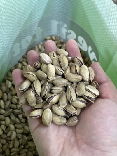 6b459e41-6e2a-4fa4-aff2-81b84baaea77