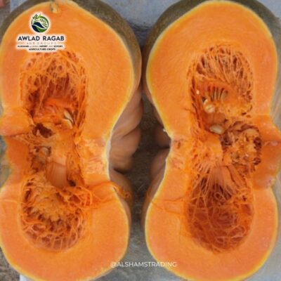 WhatsApp Image 2025-01-30 at 12.40.17 PM (3)