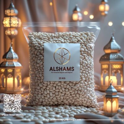 WhatsApp Image 2025-03-16 at 12.53.06 PM