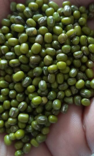 2d694ef3-b05d-4039-92c3-77d427d0a386