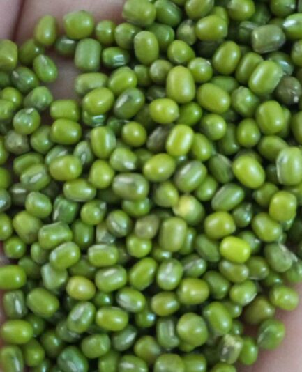 747b9516-f6e0-470c-a35a-b0e96508b96f