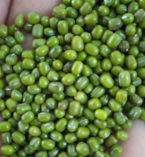 80a357ba-0bc2-417f-8651-9c2d732e9e34