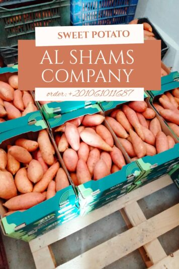 544834364_777534191907919_6894750678154145094_n