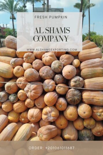 WhatsApp Image 2025-08-19 at 15.17.57_e57dc869