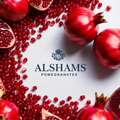 WhatsApp Image 2024-11-21 at 12.09.18_3b458237