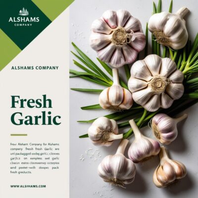 WhatsApp Image 2025-02-11 at 14.43.22_4ccd690f