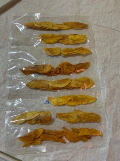 WhatsApp Image 2025-10-02 à 12.14.47_a8bab6de