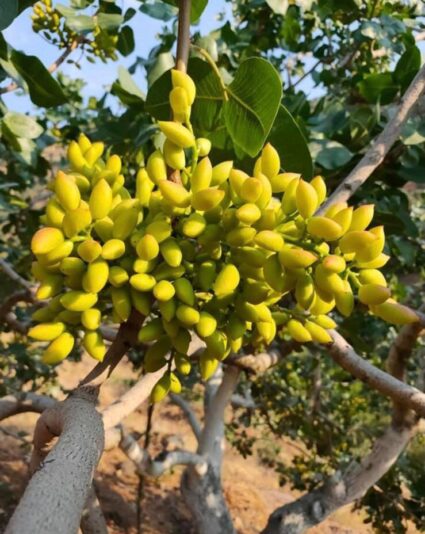 80e6a45c-2ed6-45e6-bf5b-556e05bfec7e