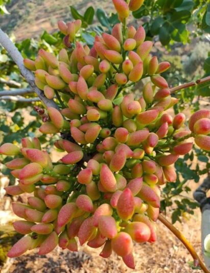 d6583caa-2be4-41d9-a12c-c9887b069cd7