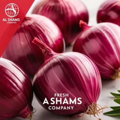 تصميم اعلان عن منتج البصل الاحمر الطازج شركه Al shams company وفى الخلفيه تدل على التصدير للخارج
