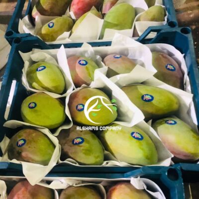 WhatsApp Image 2024-10-19 at 11.58.59_aac97c5a