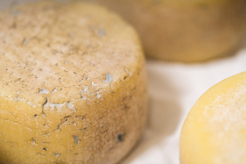 JC-caseificiocattaneo-26