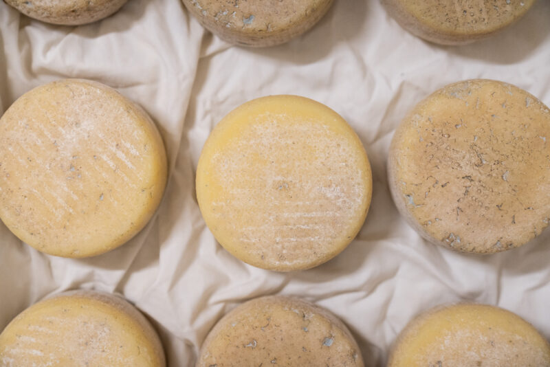 JC-caseificiocattaneo-44