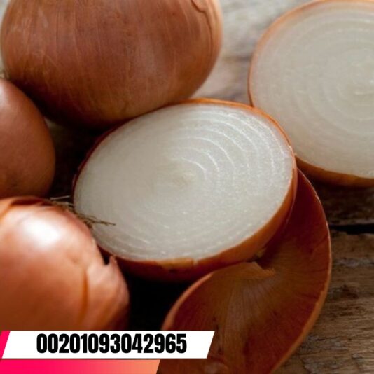 WhatsApp Image 2025-01-12 at 3.36.25 PM (4)