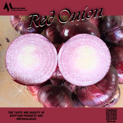 WhatsApp Image 2024-04-07 at 11.48.34 AM