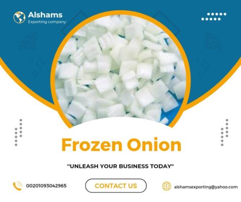 WhatsApp Image 2024-07-22 at 11.54.23 AM