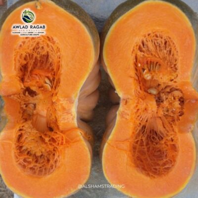 WhatsApp Image 2025-01-30 at 12.40.17 PM (3)