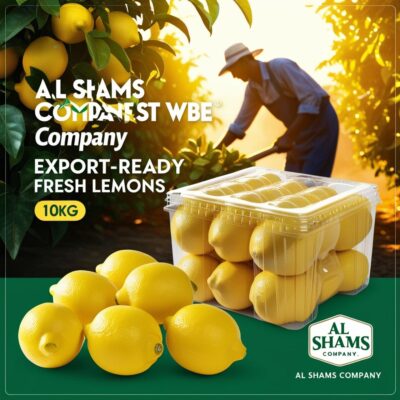 تصميم اعل10 كيلو وشكل مزارع فى الخلفيه