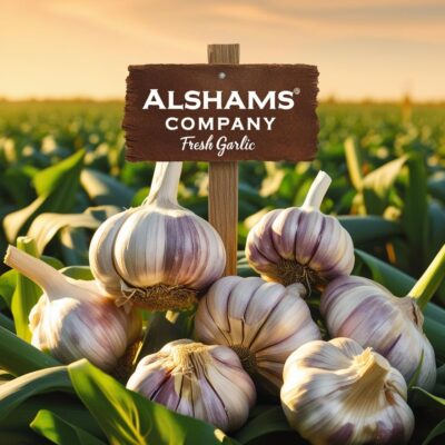 WhatsApp Image 2025-02-11 at 14.43.21_b4be40c3