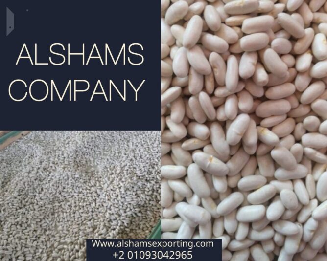 87df61e2-99d7-4e28-8ffc-788908c50ceb