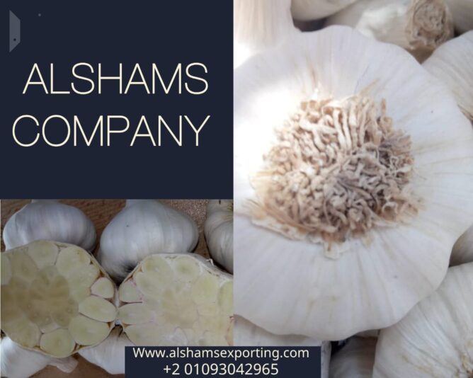 3c90cc11-bb92-4453-a7c8-3213c30b3f1a