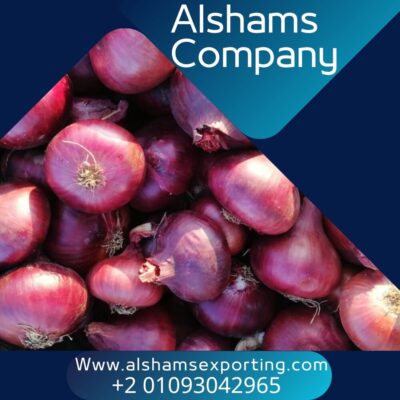 1331604c-eb25-4e4b-94e9-0d62dc2bebba