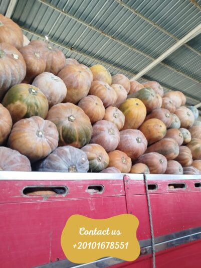 WhatsApp Image 2025-10-05 at 13.15.08_7e45d379