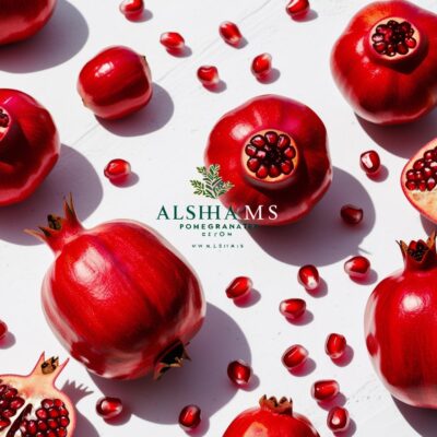 WhatsApp Image 2024-11-21 at 12.09.17_27490ccf