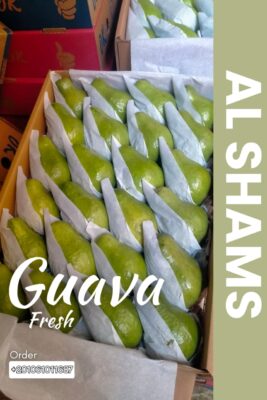 WhatsApp Image 2025-08-19 at 15.13.33_14057808