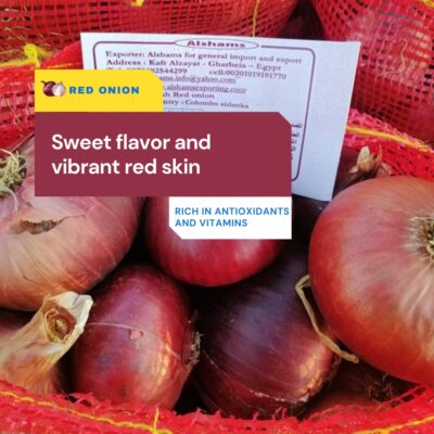 WhatsApp Image 2024-08-15 at 2.46.50 PM