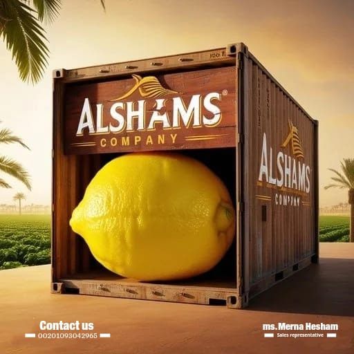 WhatsApp Image 2024-11-05 at 12.04.26 PM (1)