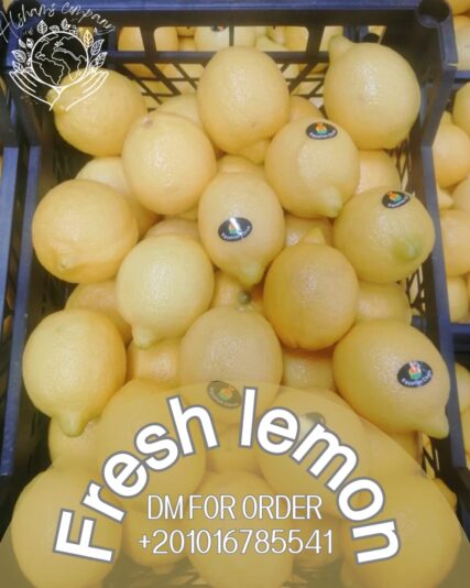 IMG-20240215-WA0023 - Copy