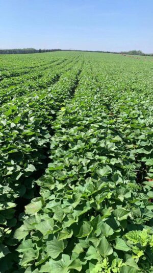 27D834FF-178F-49A0-B79D-8BD1625FD637