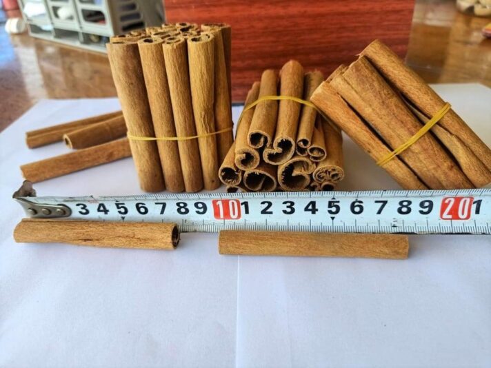 57149dad-a836-4ca0-a474-ca237ab1af67