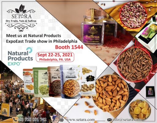 Banner for Philly Exhibition 1