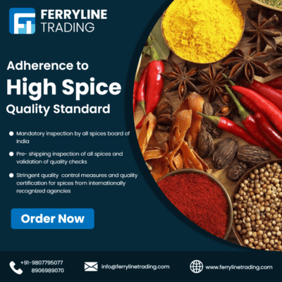 Instagram Post – 1