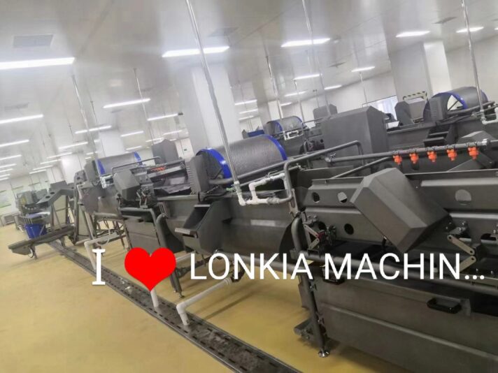 Roots Vegetabloe Cleaning Line01