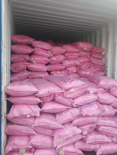 56451913_856000901403094_4296858730877681664_n