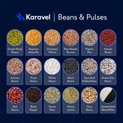 Catalog Offer - Beaans and Pulses-final-02