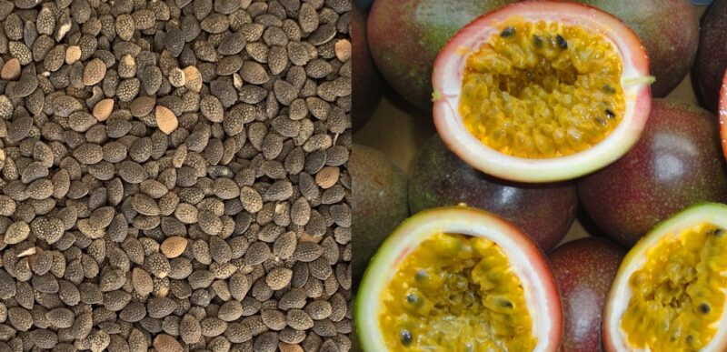 passion-fruit_seeds