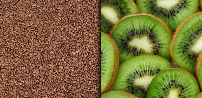kiwi_seeds