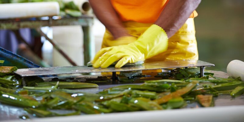 IMG_1621615128942_1621783441084