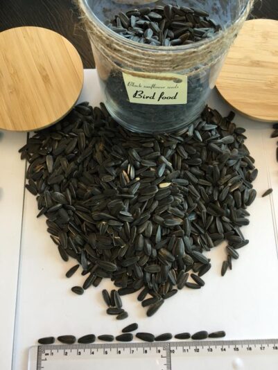 Black-sunflower-seeds-birds