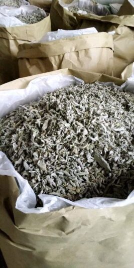 image_2bdf1c30-9a05-46e3-91c8-c6556dafa81220210504_061848